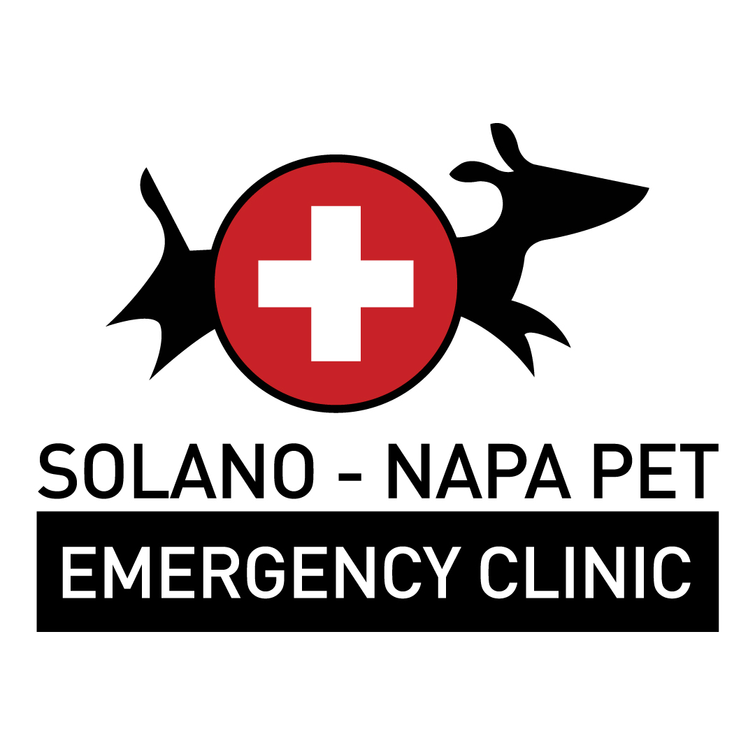 Emergency Care Solano Napa Pet Emergency Clinic